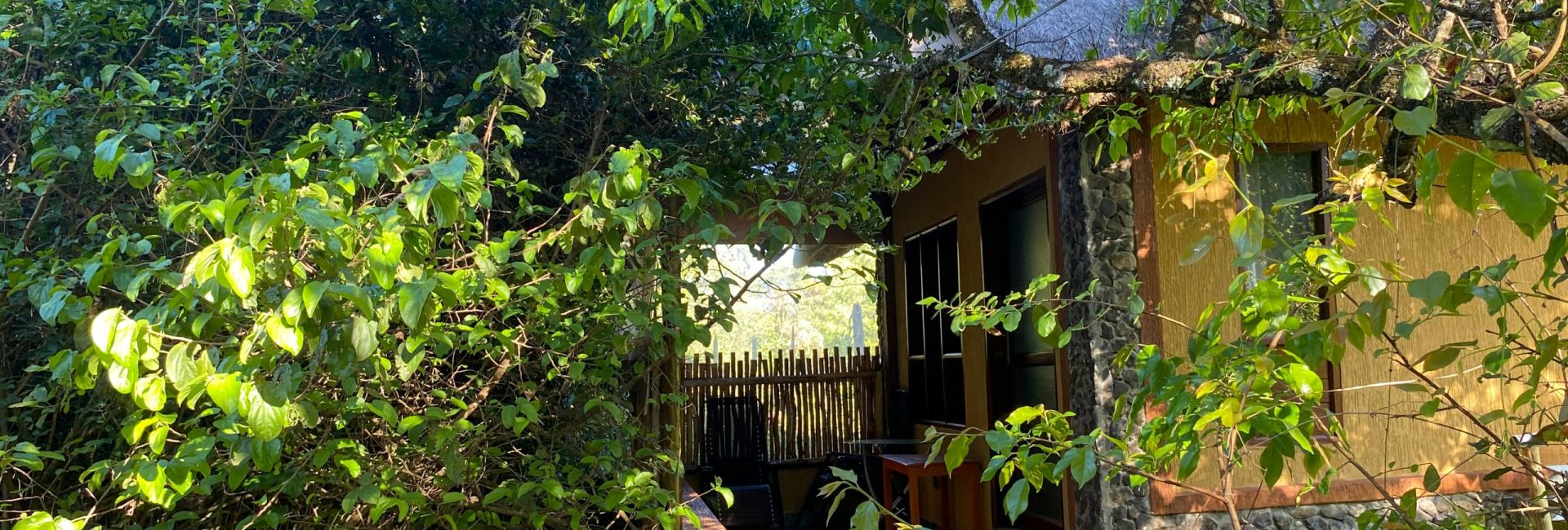 Deluxe Villas